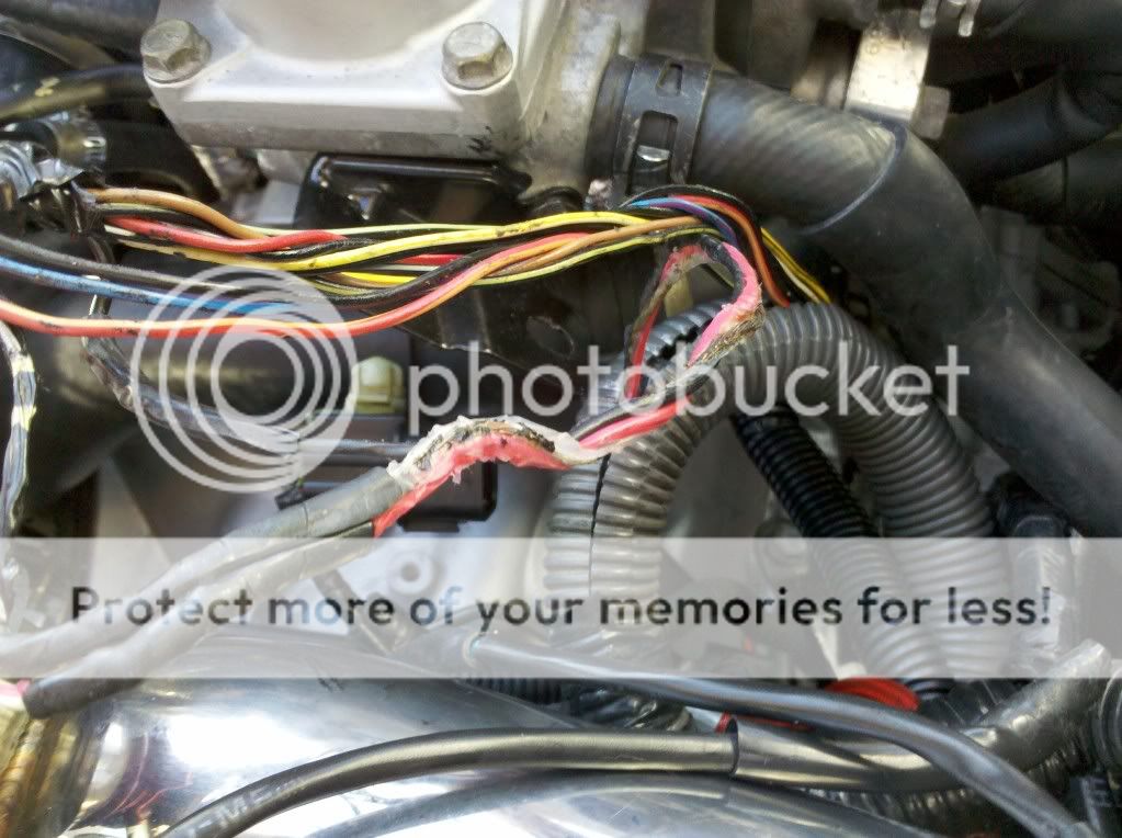 anyone take apart a engine harness?? - EvolutionM - Mitsubishi Lancer